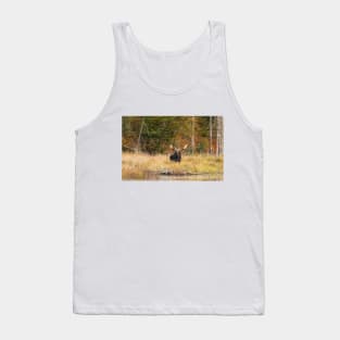 Bull Moose, Algonquin Park Tank Top